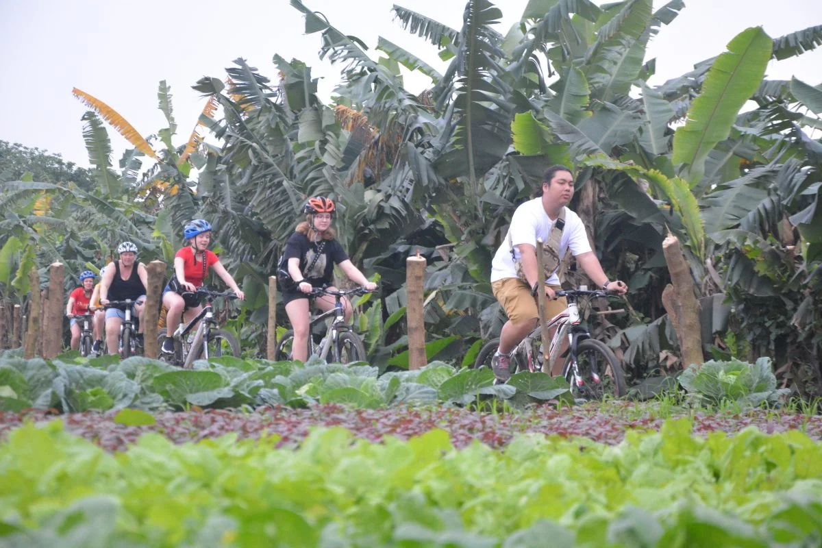 Hanoi Bicyle Tours: Bicycle Tours Hanoi City Half Day