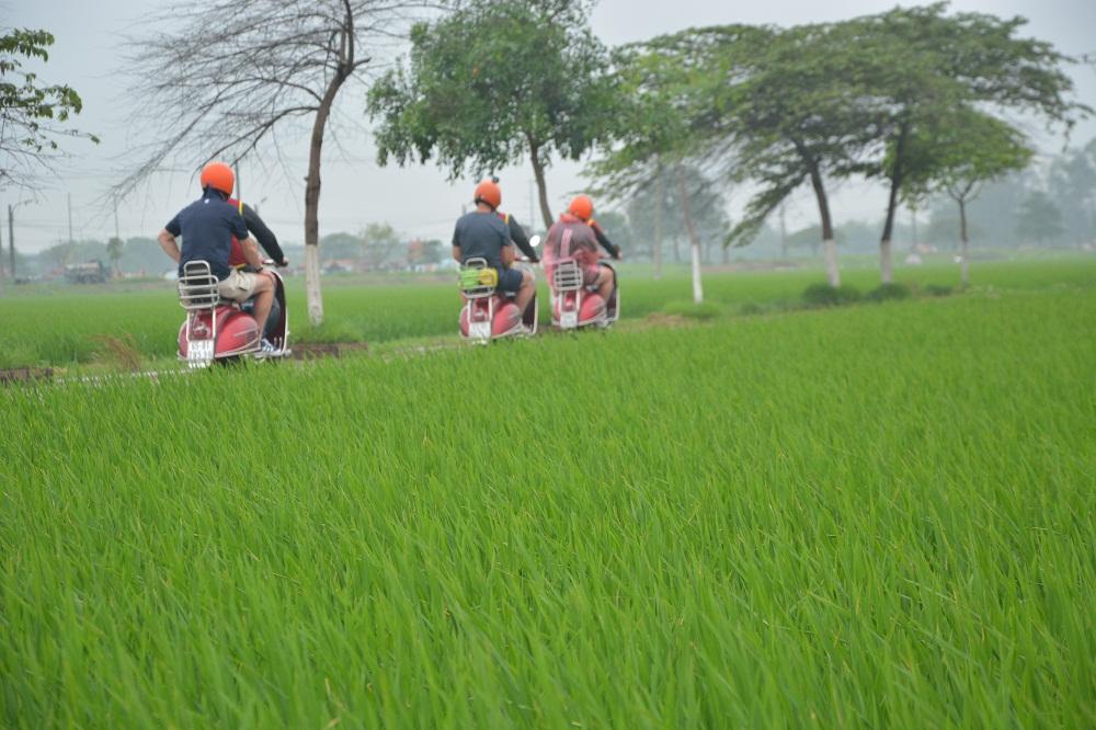 Hanoi Countryside Vespa Tour : Red River Delta & Co Loa Ancient Citadel