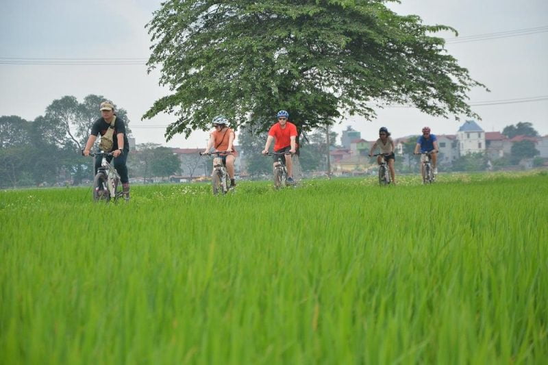 Hanoi Bicyle Tours: Hanoi Countryside Bicycle Tours Half Day