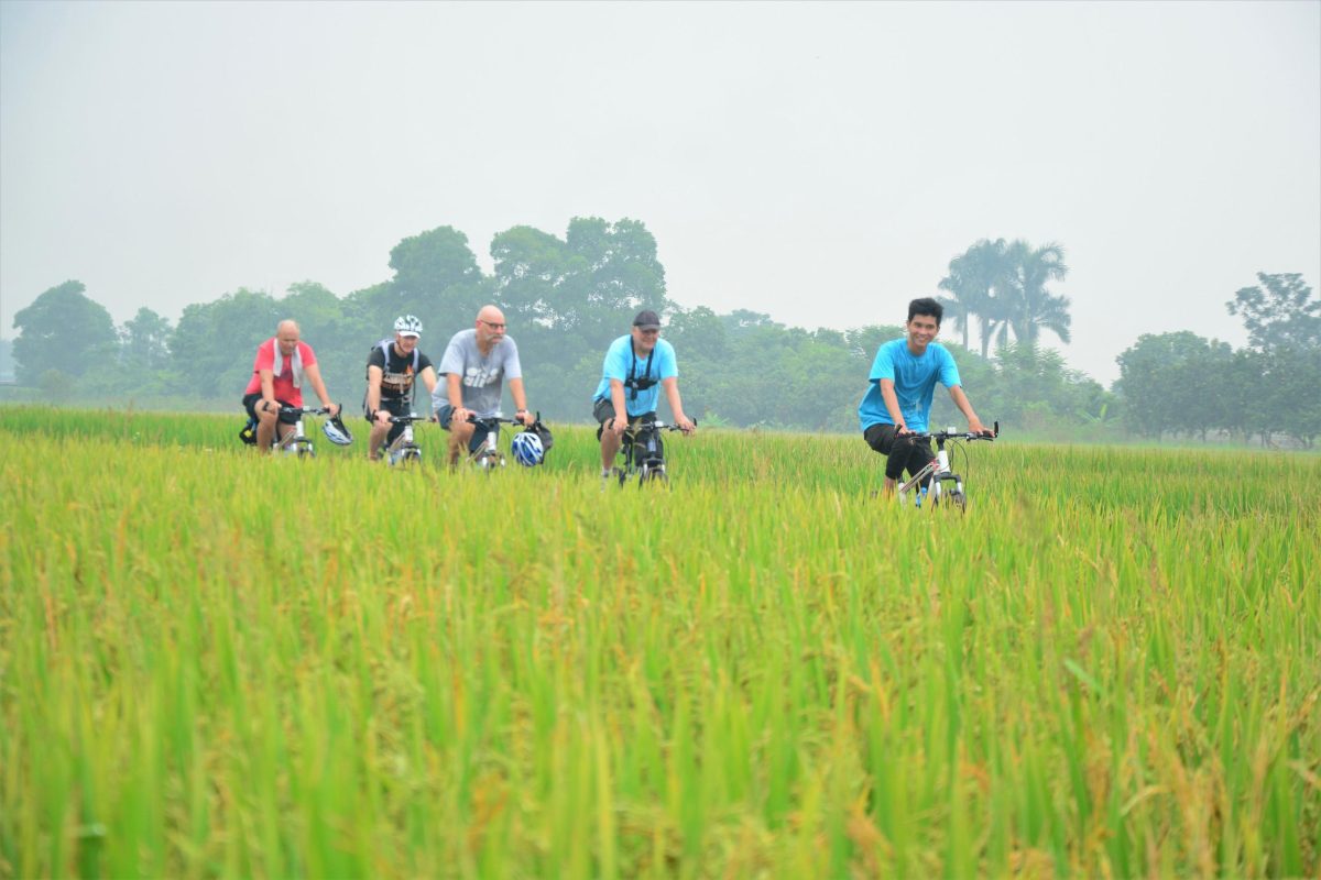 Hanoi Bicyle Tours: Bicycle Tours Hanoi City Half Day