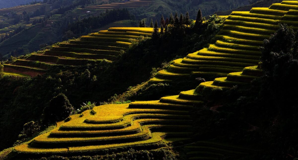 Sapa Motorbike Tours Half Day Sapa Motorbike Tours Half Day
