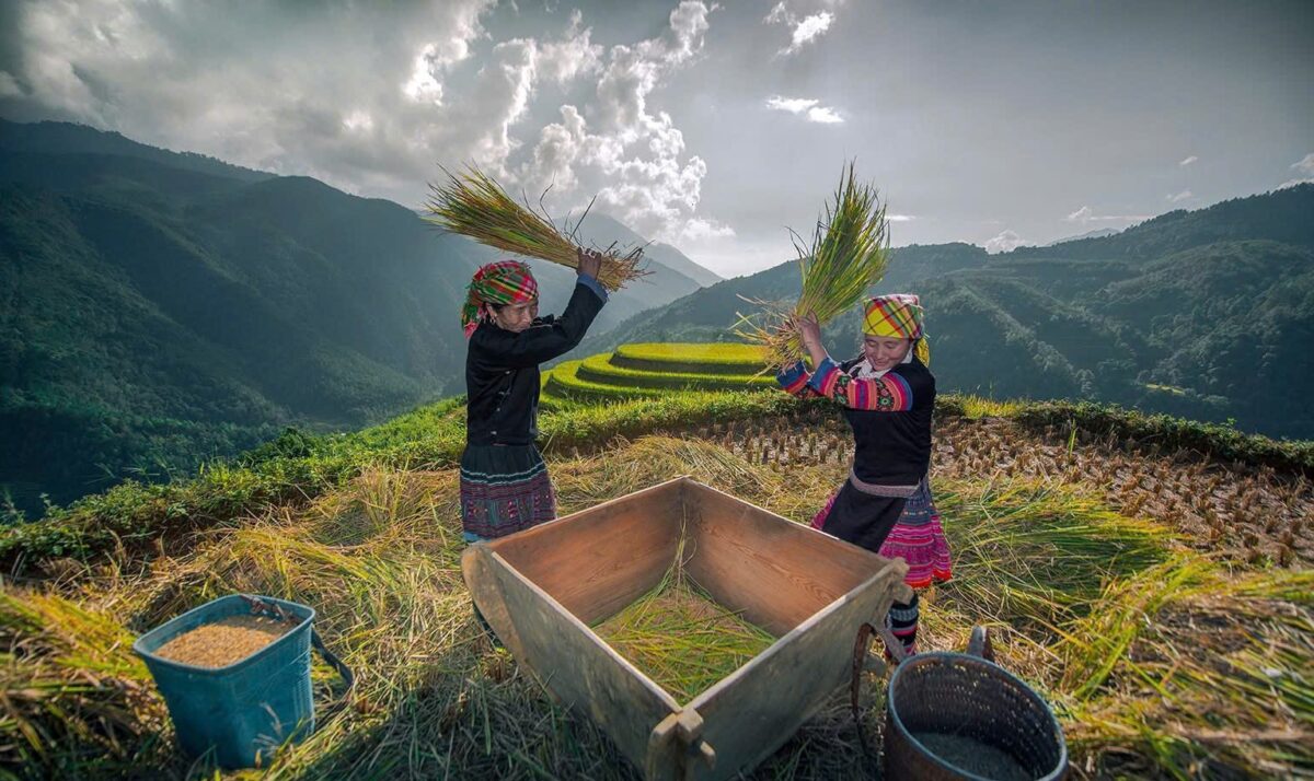Sapa Motorbike Tours Half Day Sapa Motorbike Tours Half Day