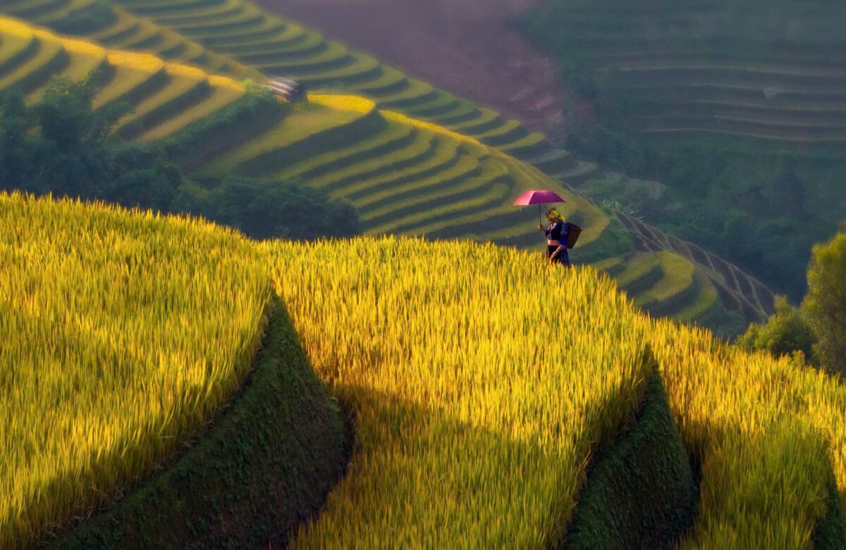 Sapa Motorbike Tours Half Day Sapa Motorbike Tours Half Day