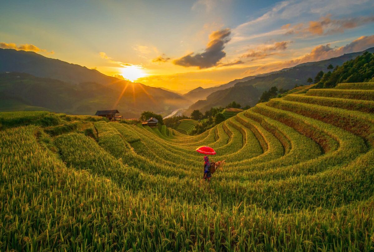 Sapa Motorbike Tours Half Day Sapa Motorbike Tours Half Day