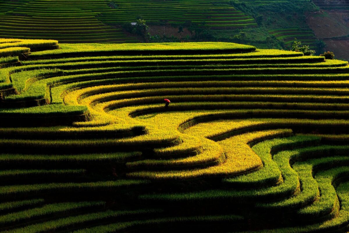 Sapa Motorbike Tours Half Day Sapa Motorbike Tours Half Day