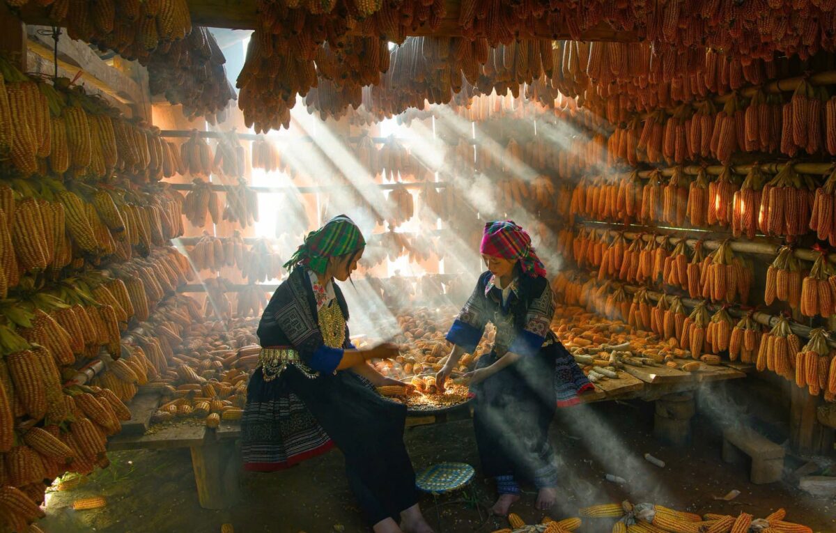 Sapa Motorbike Tours Half Day Sapa Motorbike Tours Half Day