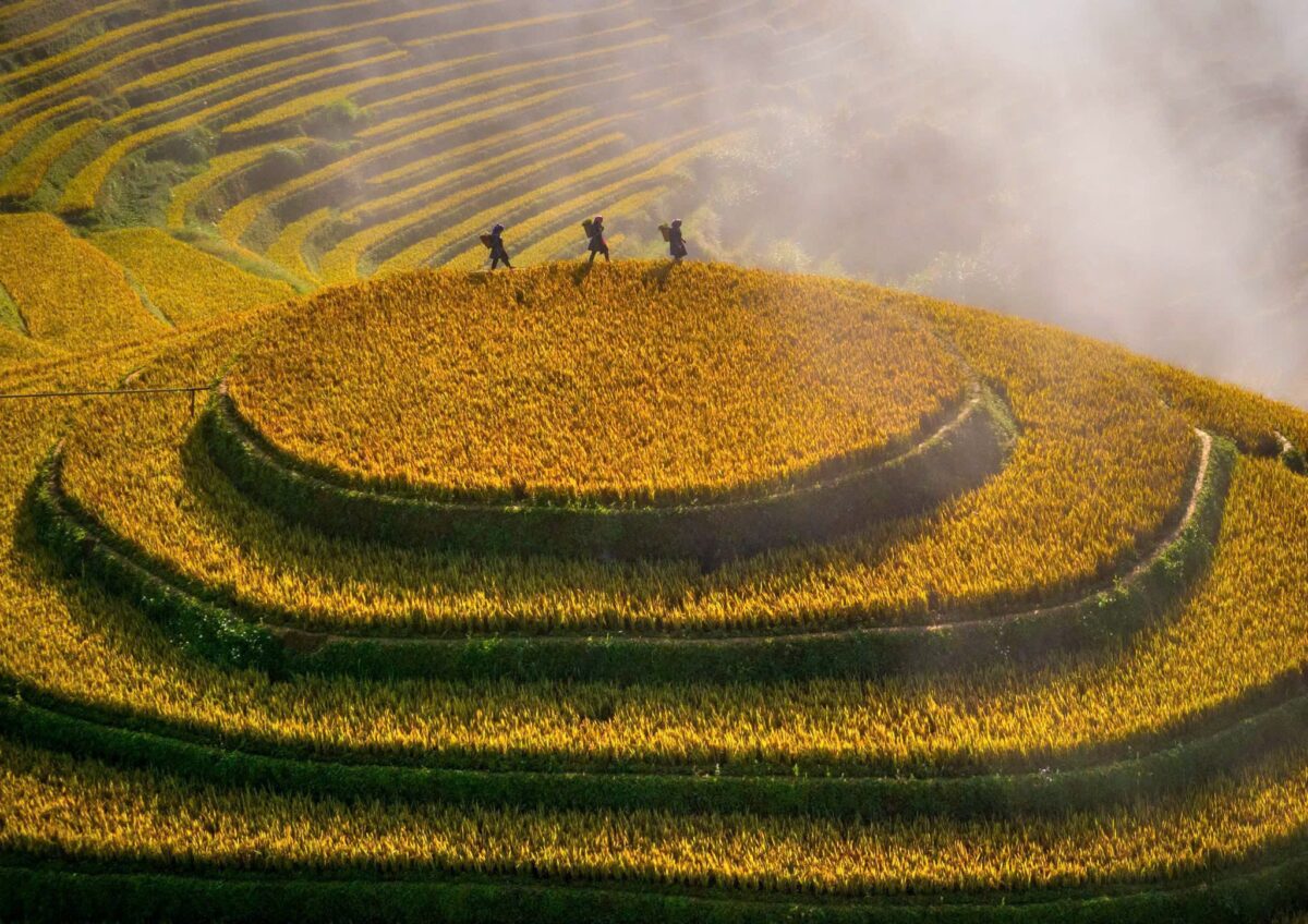 Sapa Motorbike Tours Half Day Sapa Motorbike Tours Half Day