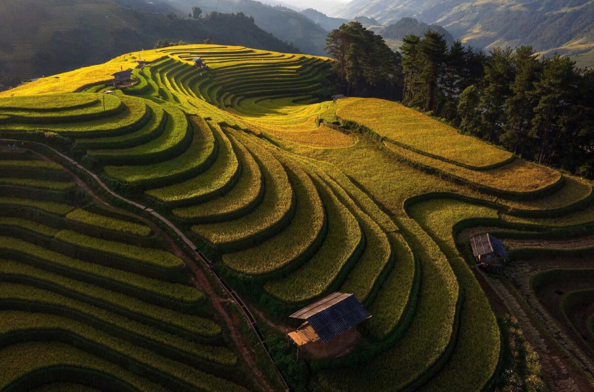 Sapa Motorbike Tours Half Day Sapa Motorbike Tours Half Day