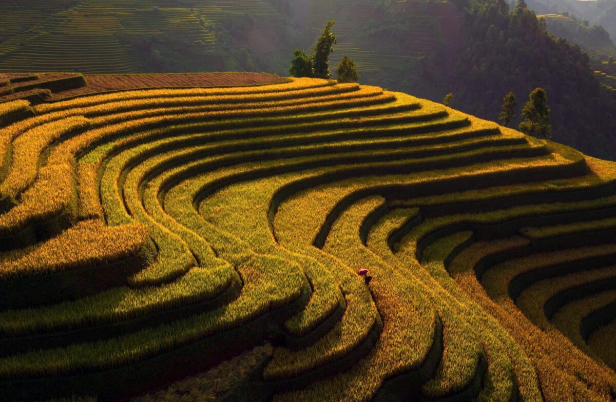 Sapa Motorbike Tours Half Day Sapa Motorbike Tours Half Day