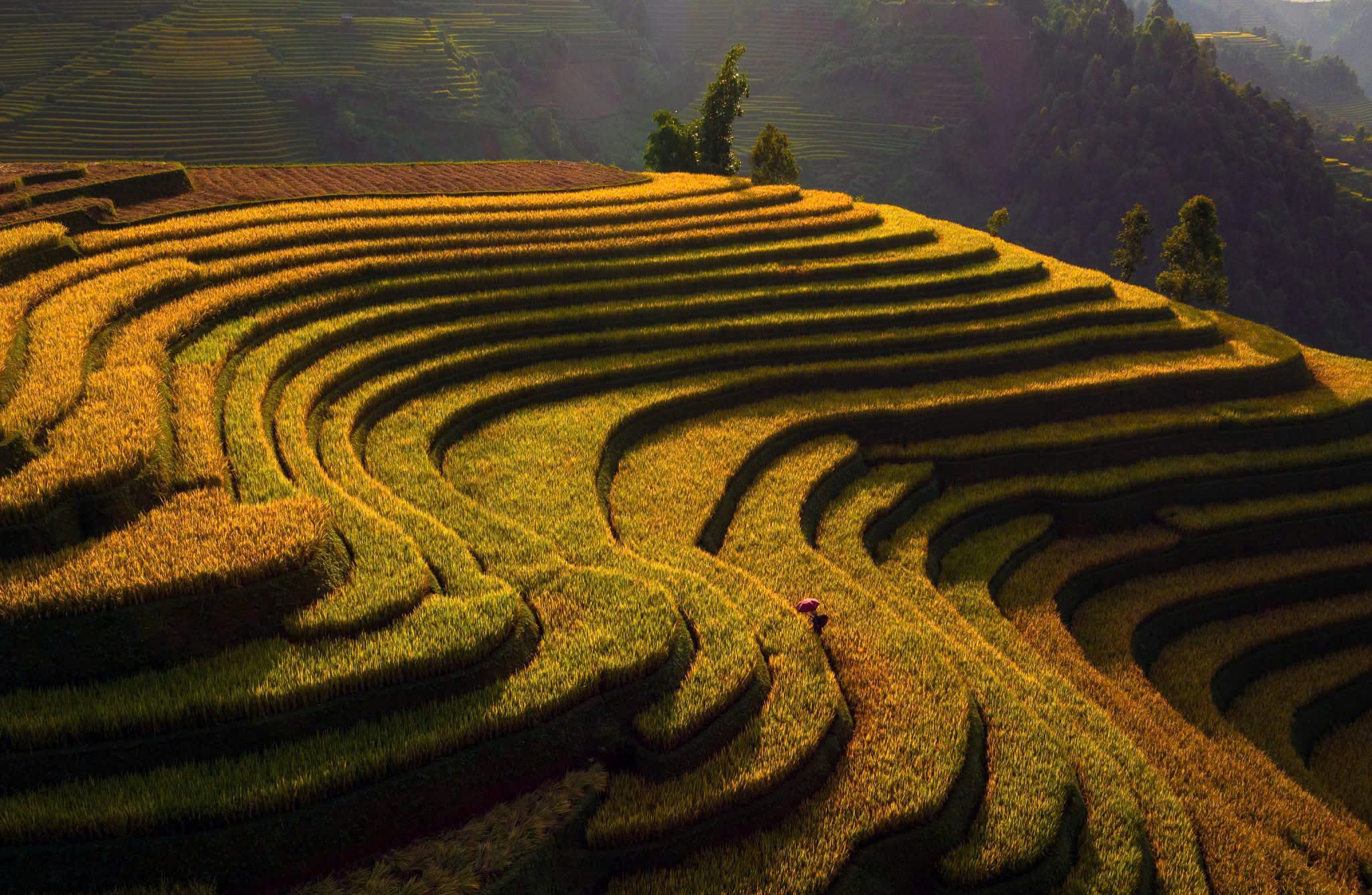 Sapa Motorbike Tours Half Day