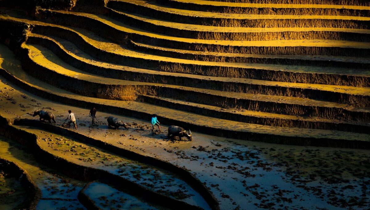 Sapa Motorbike Tours Half Day Sapa Motorbike Tours Half Day