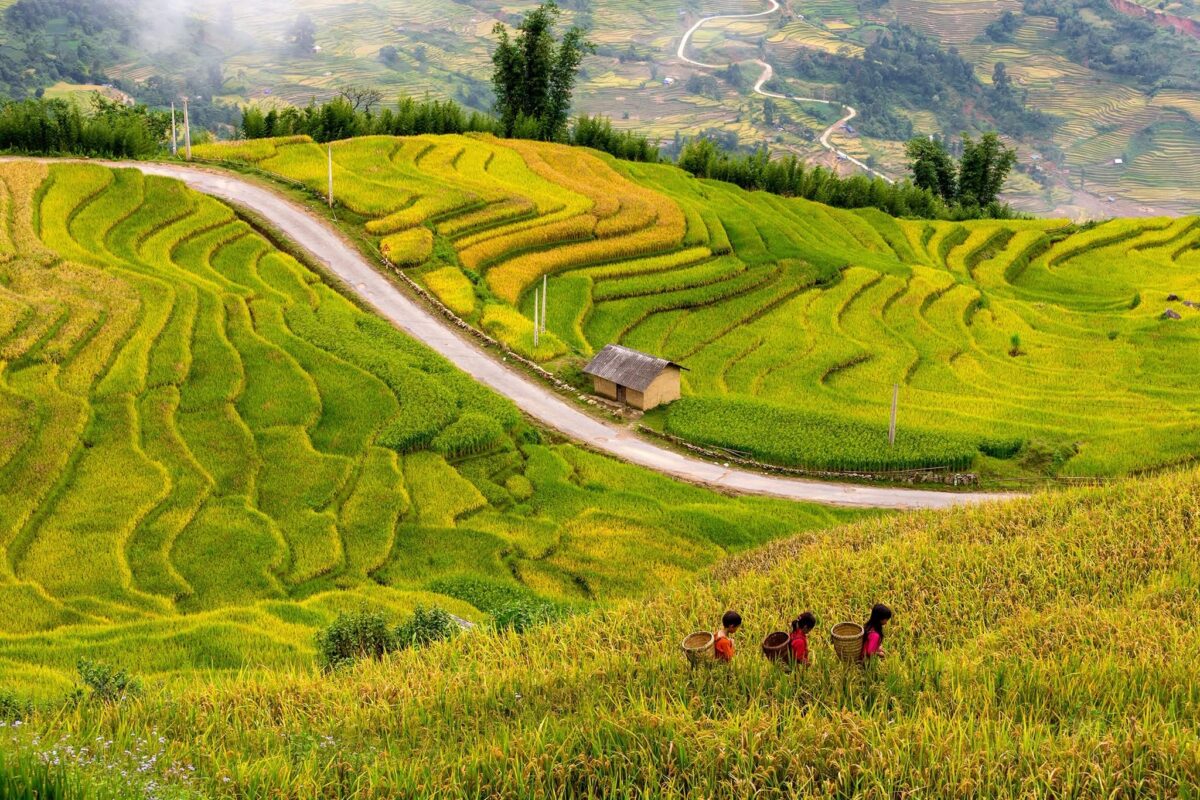 Sapa Motorbike Tours Half Day Sapa Motorbike Tours Half Day