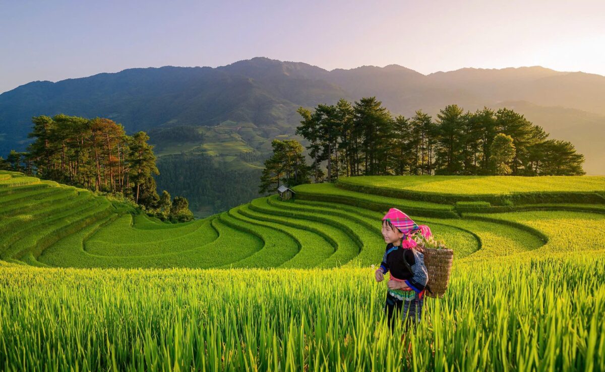 Sapa Motorbike Tours Half Day Sapa Motorbike Tours Half Day