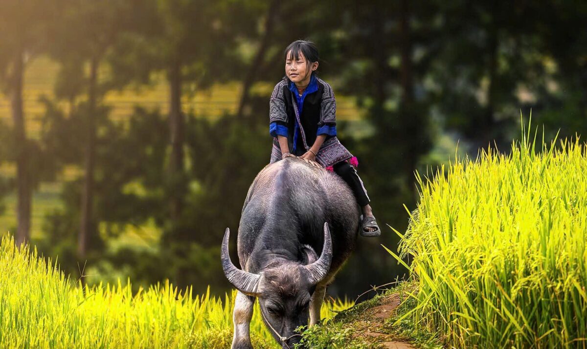 Sapa Motorbike Tours Half Day Sapa Motorbike Tours Half Day