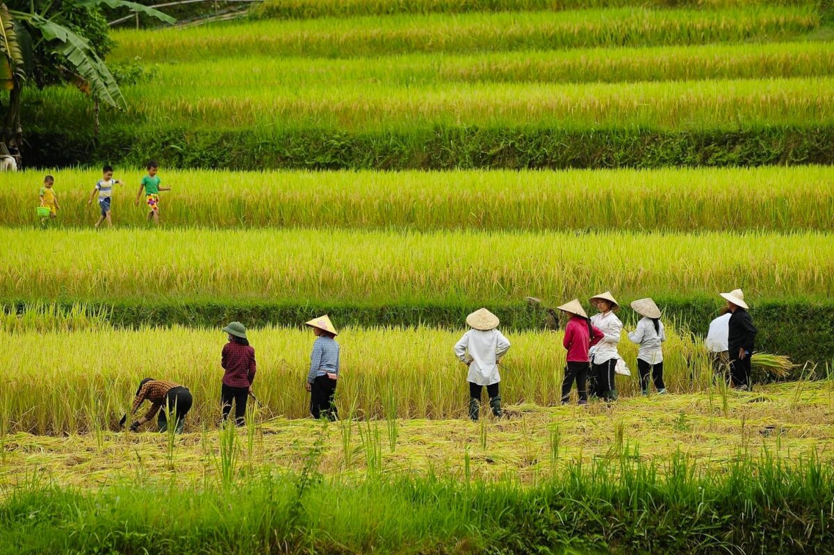 Mai Chau Women Tours Mai Chau Women Tours
