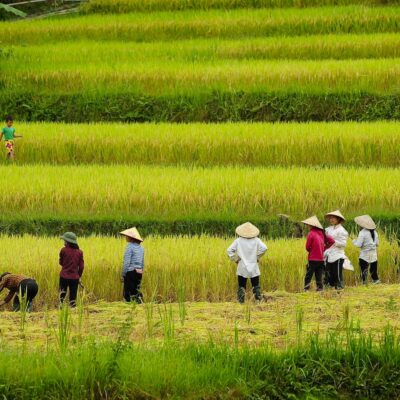 Mai Chau Women Tours